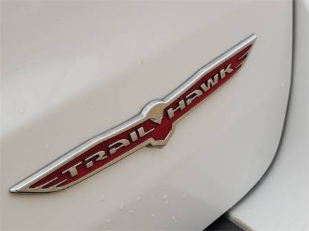 Showcase Image