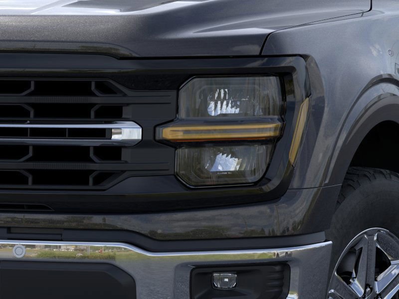Showcase Image