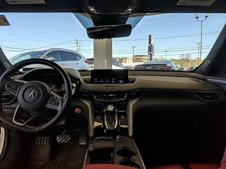 Showcase Image