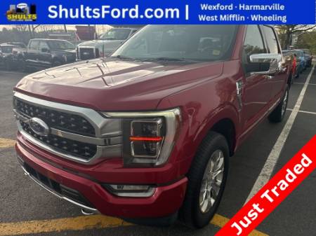 2021 Ford F-150 Platinum