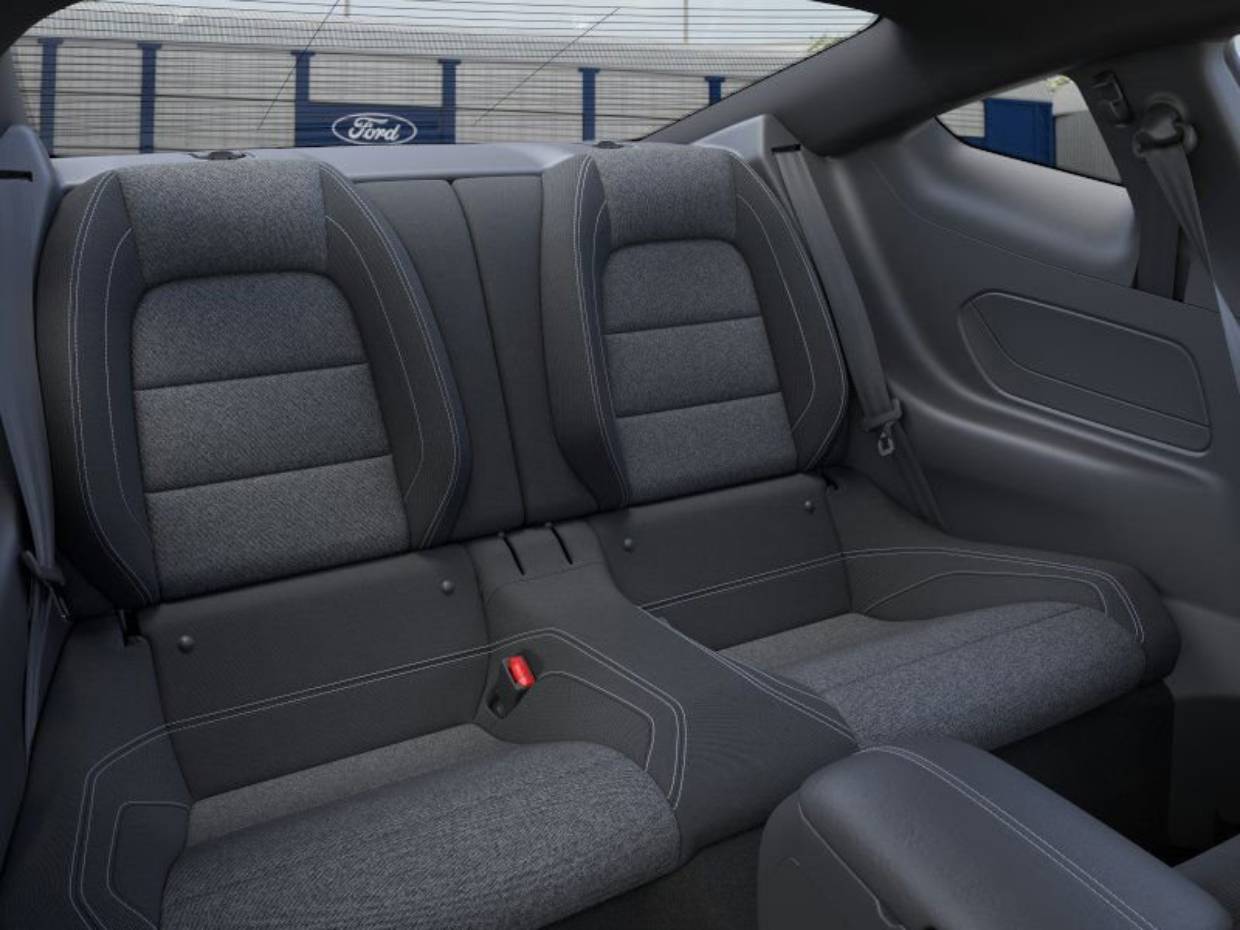 2025 Ford Mustang EcoBoost Fastback - Photo 11