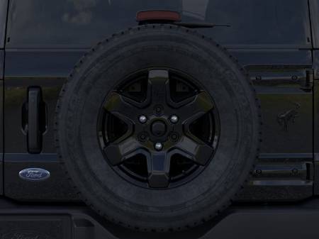Showcase Image