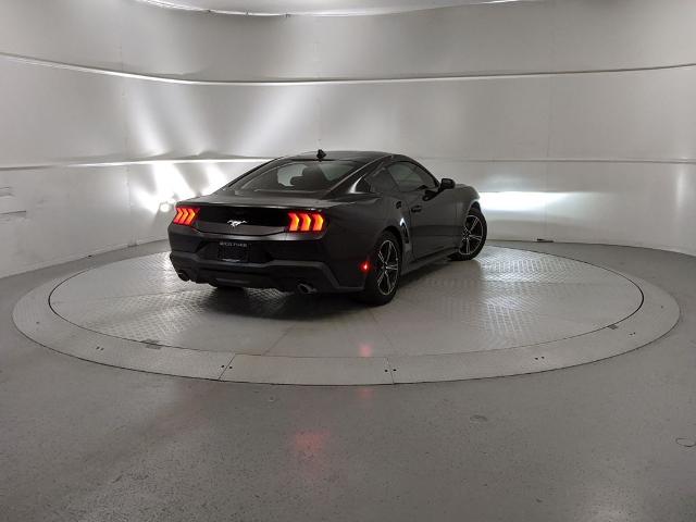 2025 Ford Mustang EcoBoost photo 3