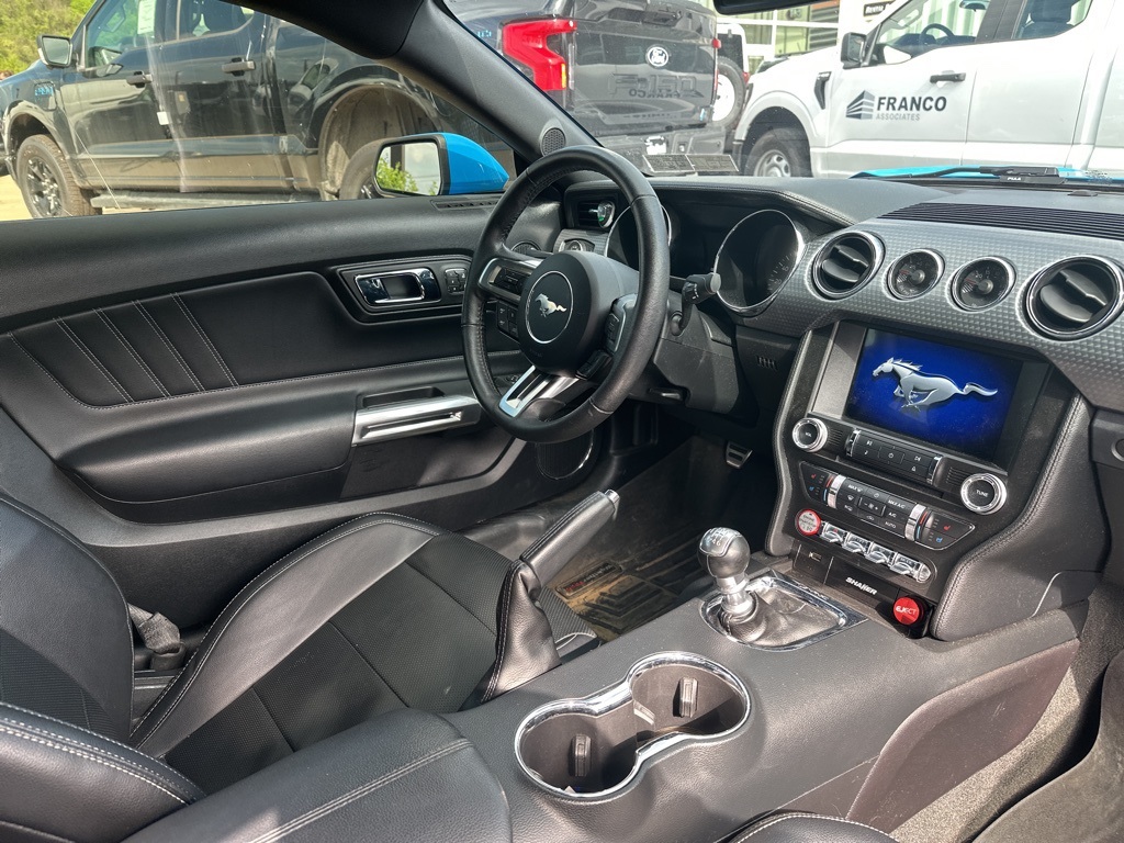 Showcase Image