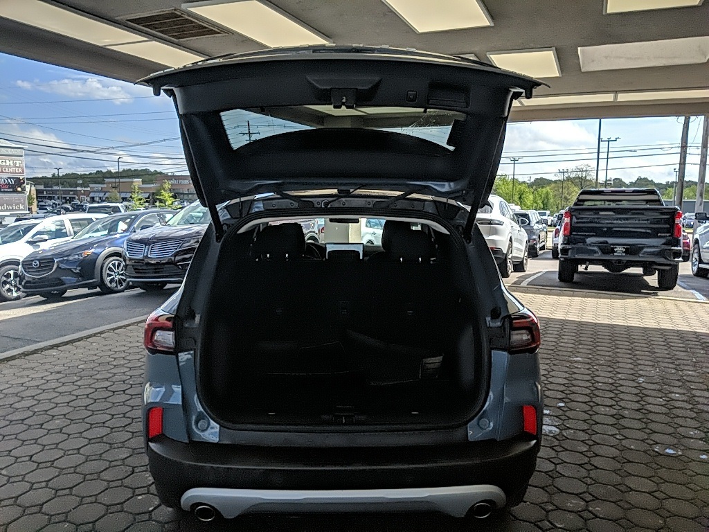 Showcase Image