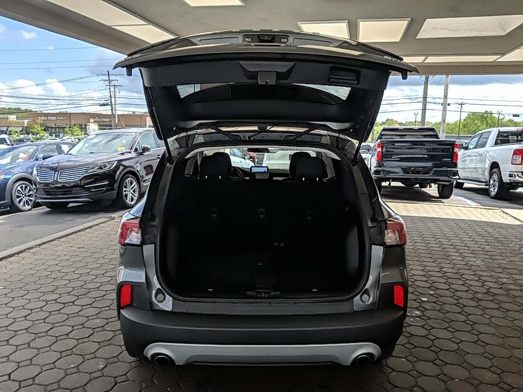 Showcase Image