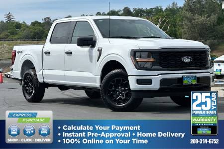 2025 Ford F-150 STX