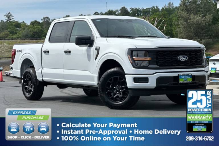 2025 Ford F-150 STX