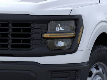 Showcase Image