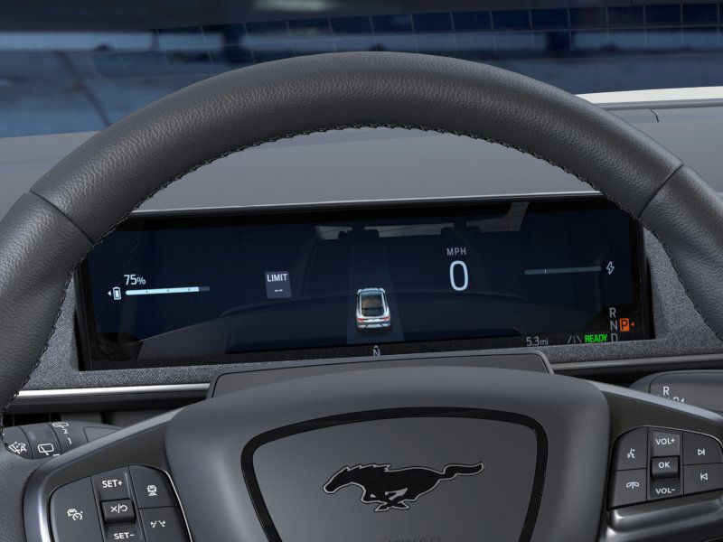 Showcase Image