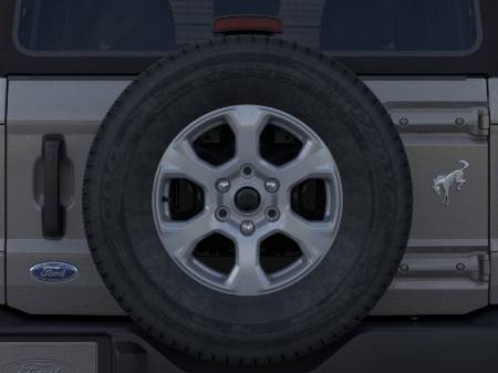 Showcase Image
