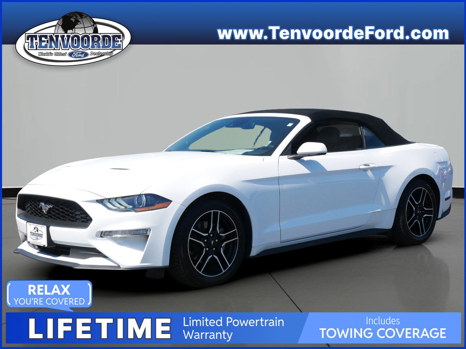 Used 2023 Ford Mustang EcoBoost Premium with VIN 1FATP8UH8P5110529 for sale in Saint Cloud, Minnesota