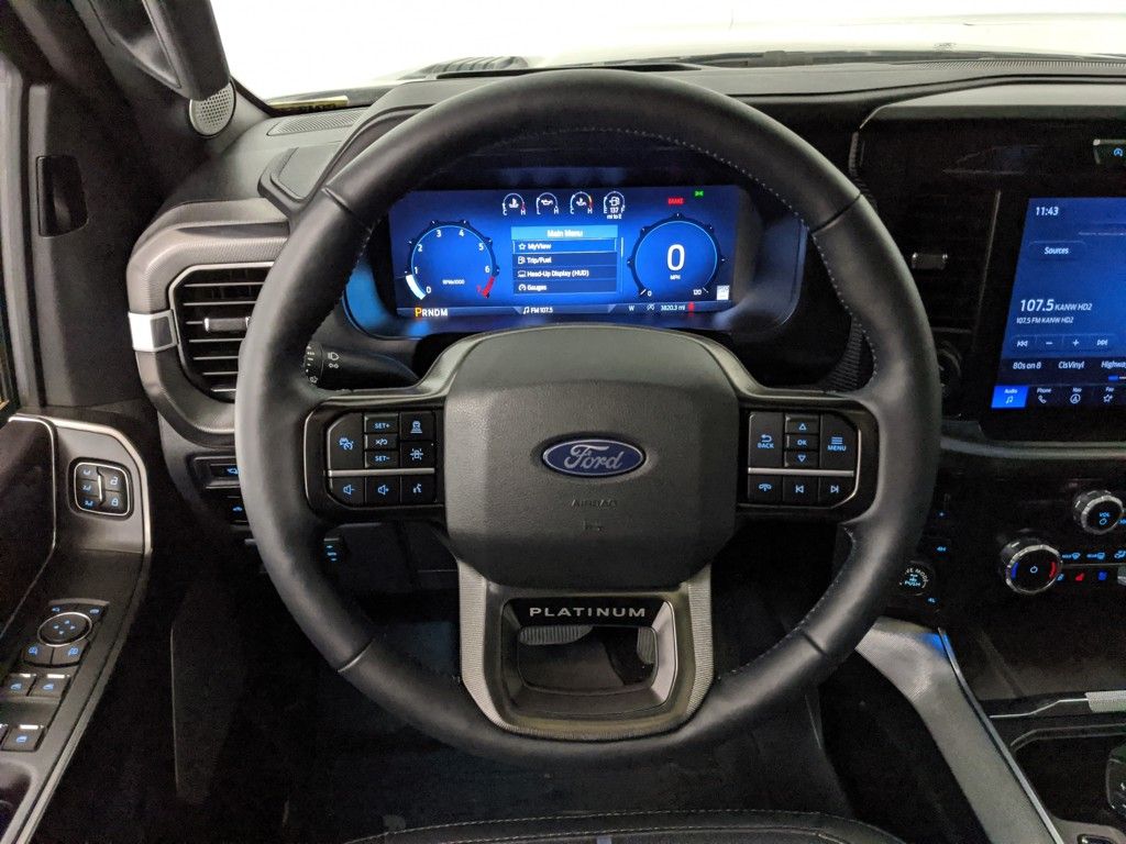 2024 Ford F-150 Platinum photo 14