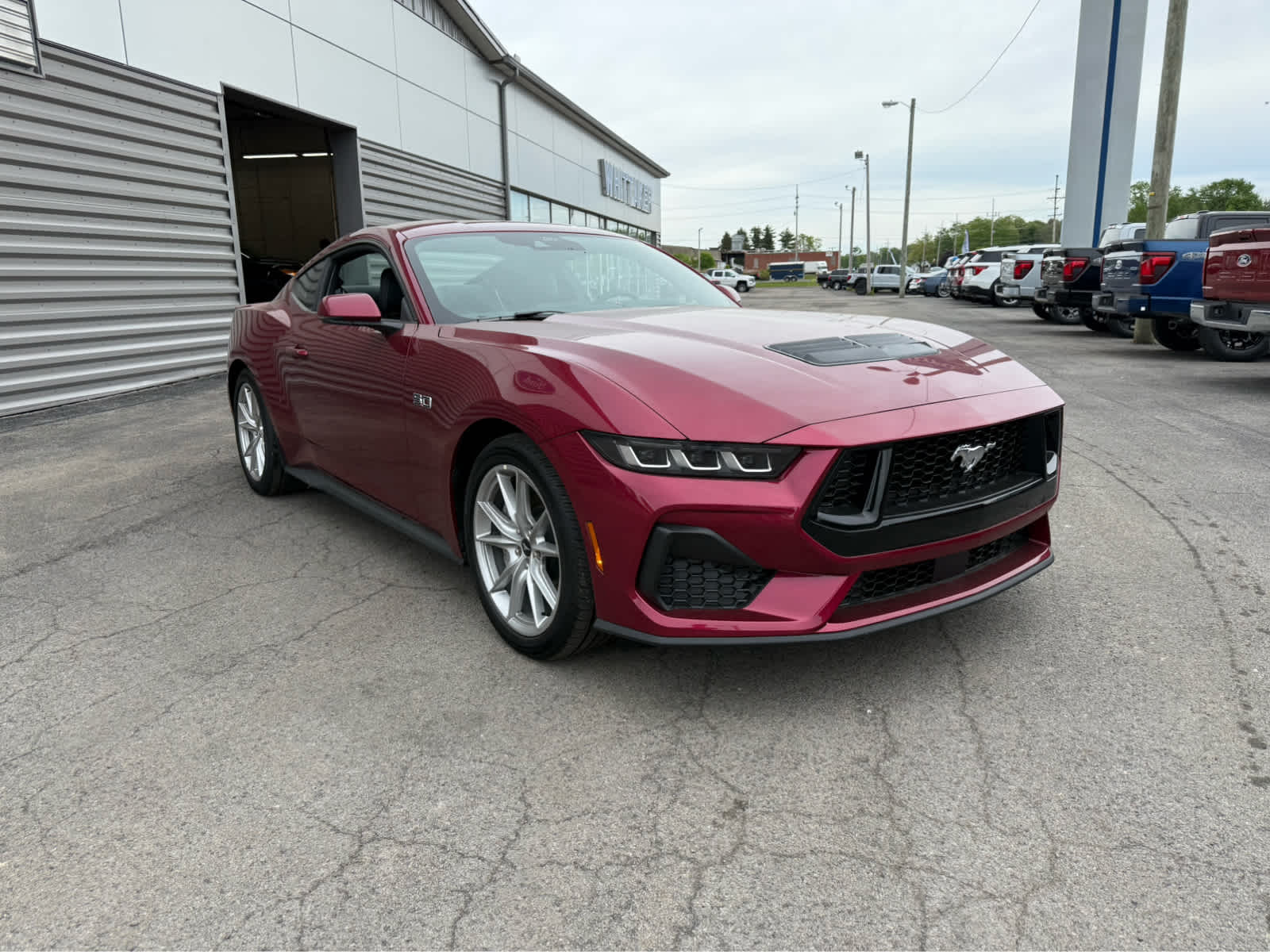 2025 Ford Mustang GT Premium photo 15