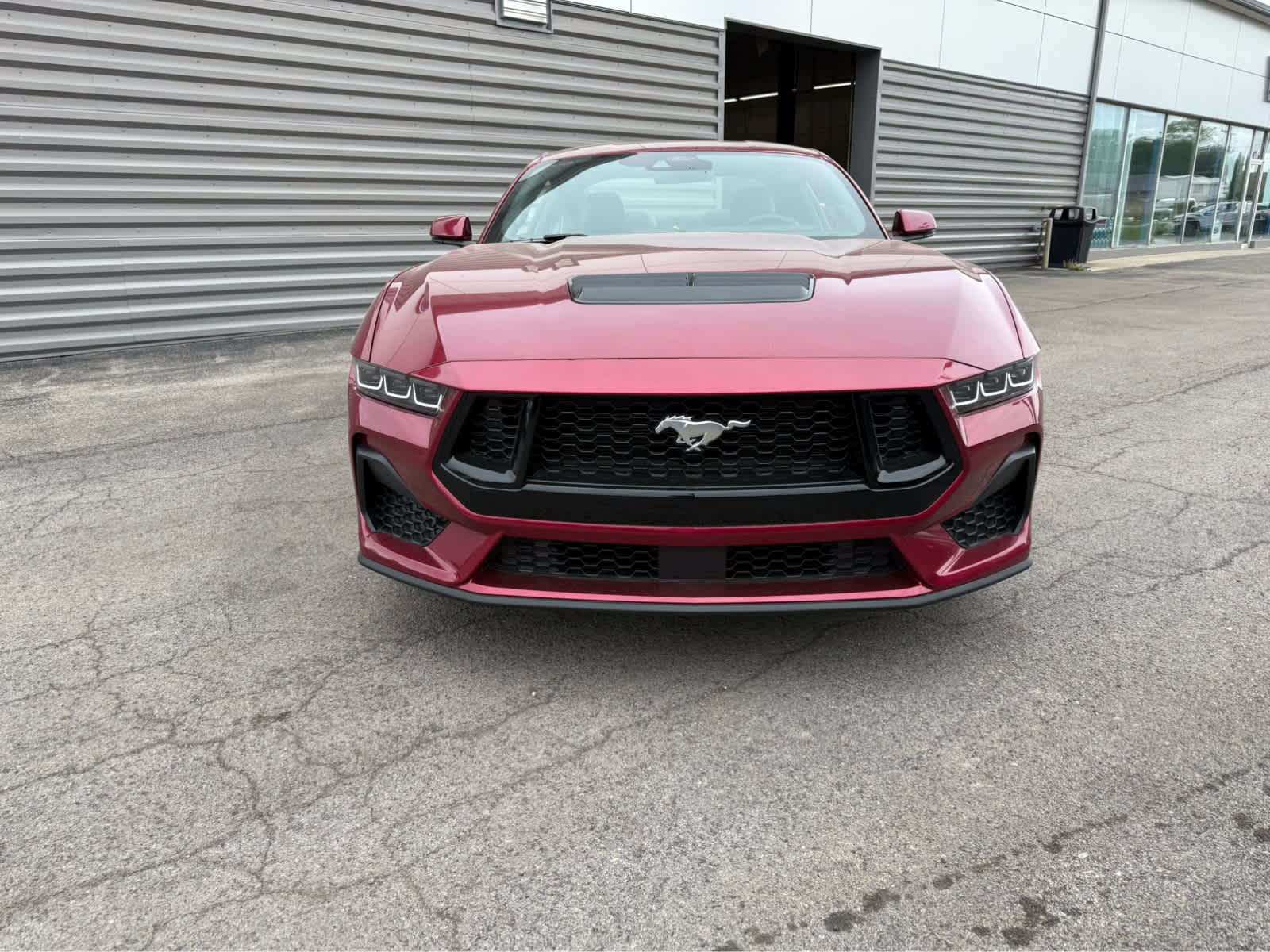2025 Ford Mustang GT Premium photo 16