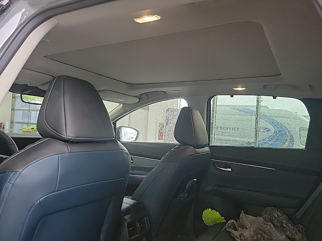 Showcase Image