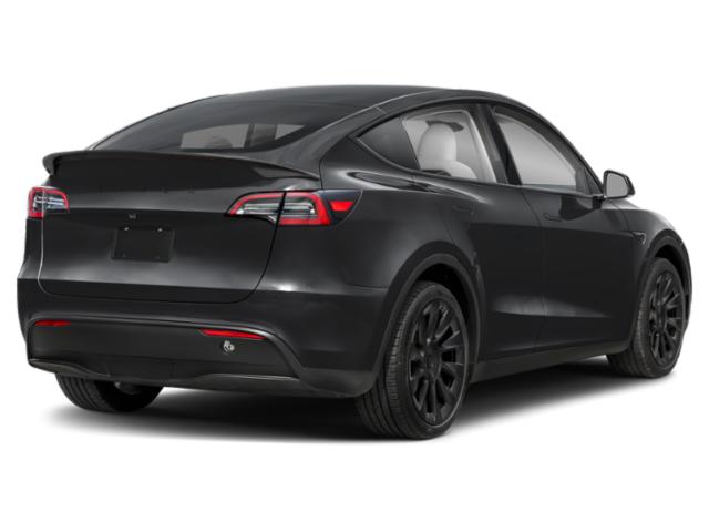 Used 2024 Tesla Model Y Long Range with VIN 7SAYGDED1RF006263 for sale in Northfield, Minnesota