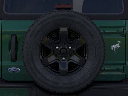 Showcase Image