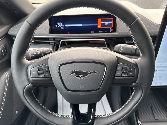 2025 Ford Mustang Mach-E GT photo 12