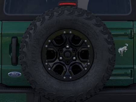 Showcase Image