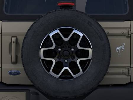 Showcase Image
