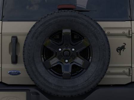 Showcase Image