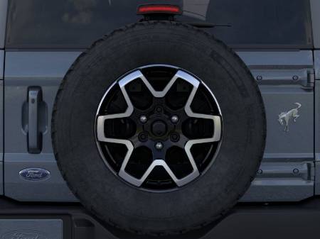 Showcase Image