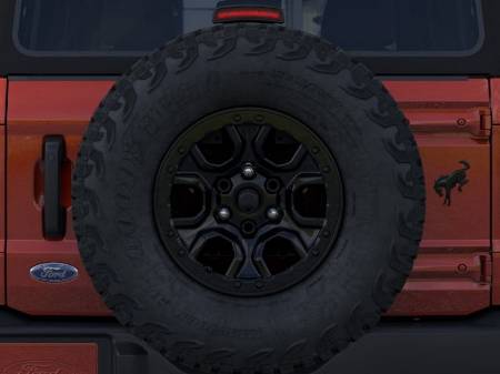 Showcase Image