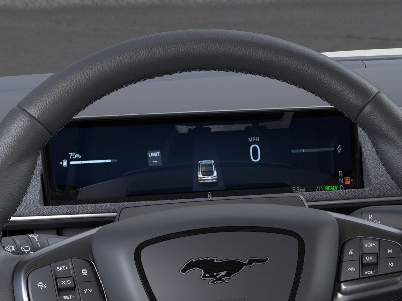 Showcase Image