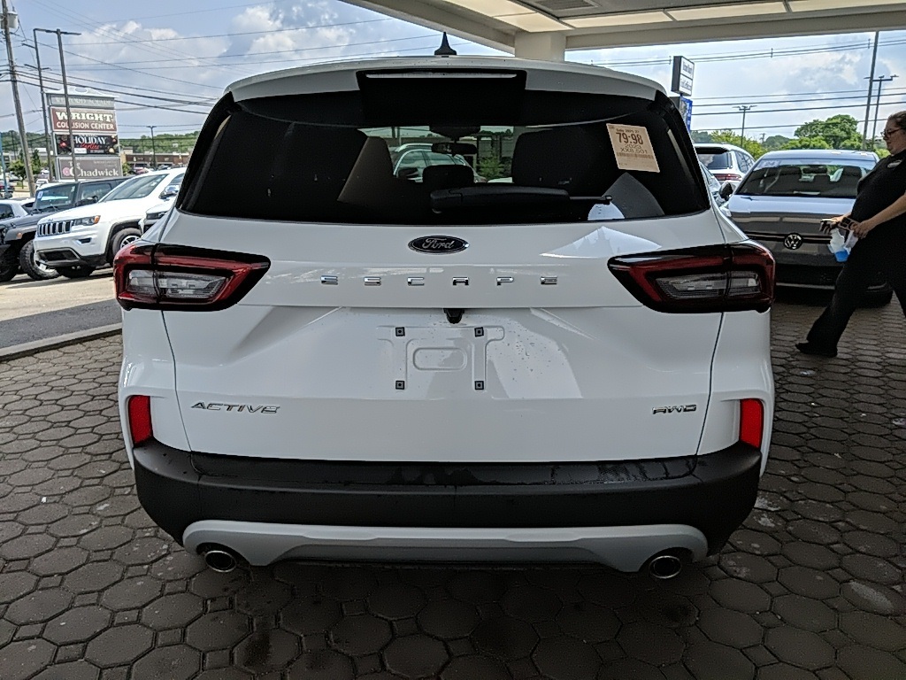 Showcase Image