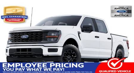 2025 Ford F-150 STX