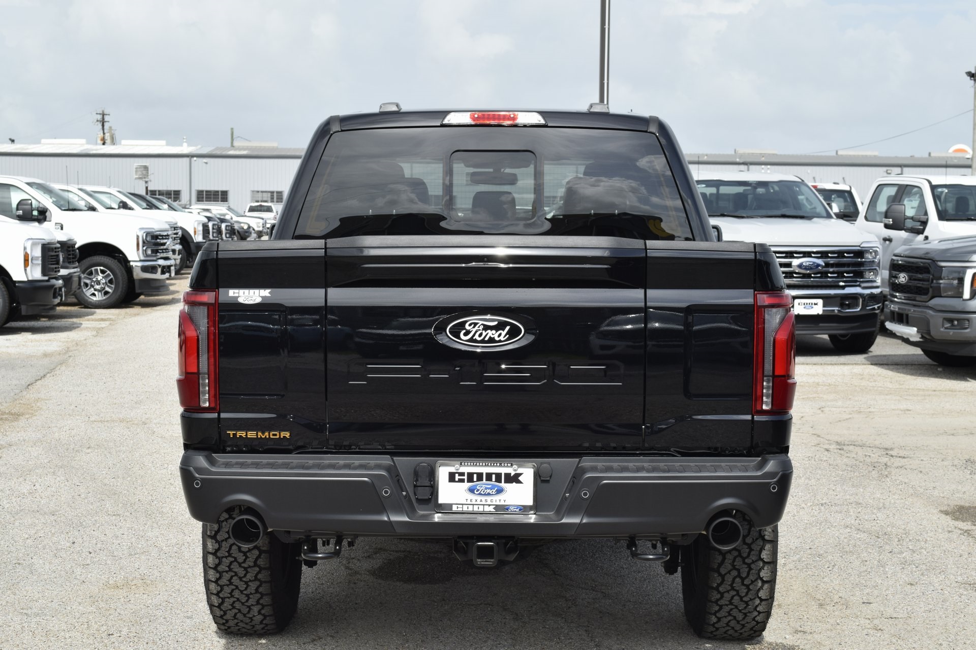 2025 Ford F-150 Tremor photo 2