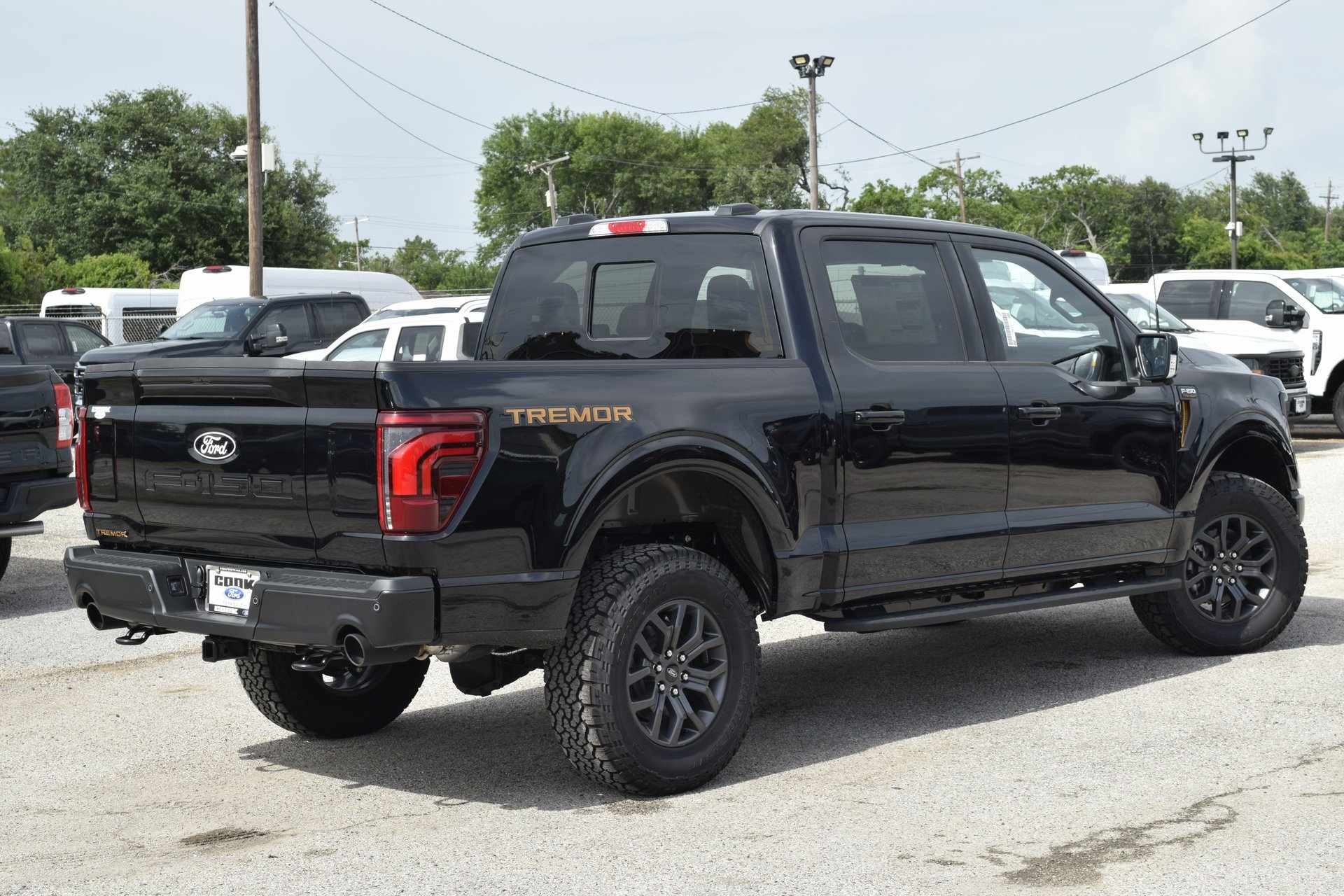 2025 Ford F-150 Tremor photo 3