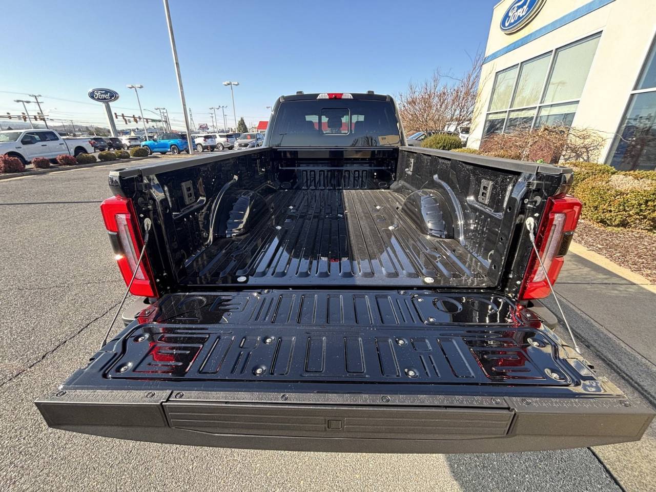 2025 Ford F-250 Super Duty Platinum - Photo 48