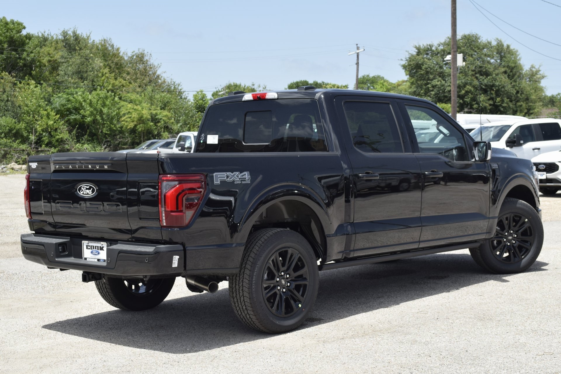 2025 Ford F-150 Platinum photo 3