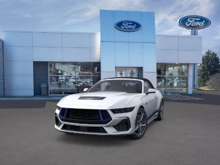 Showcase Image