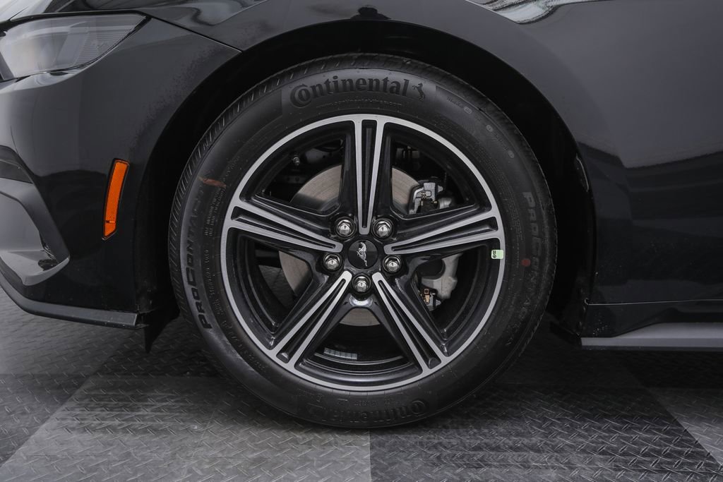 2025 Ford Mustang EcoBoost photo 6