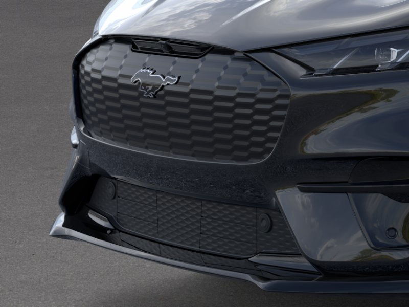 Showcase Image