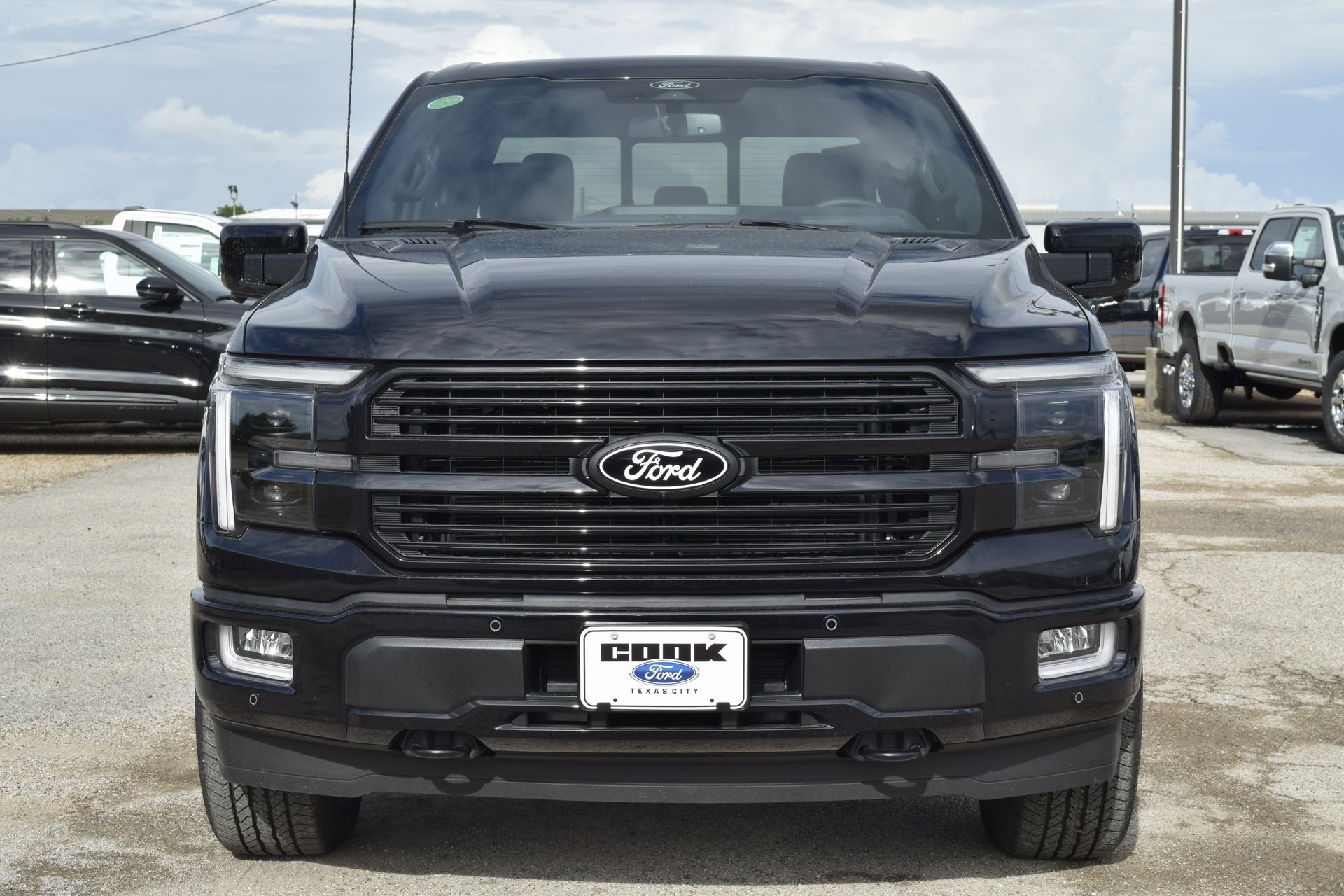 2025 Ford F-150 Platinum photo 37
