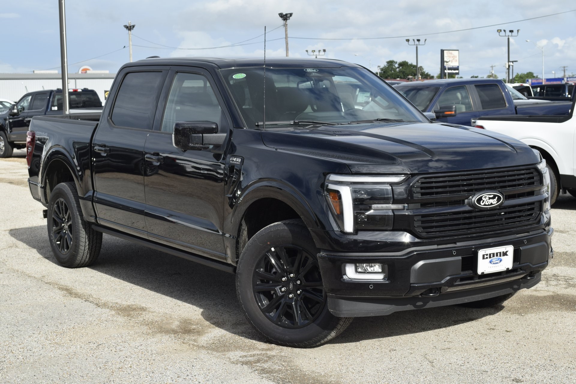 2025 Ford F-150 Platinum photo 38