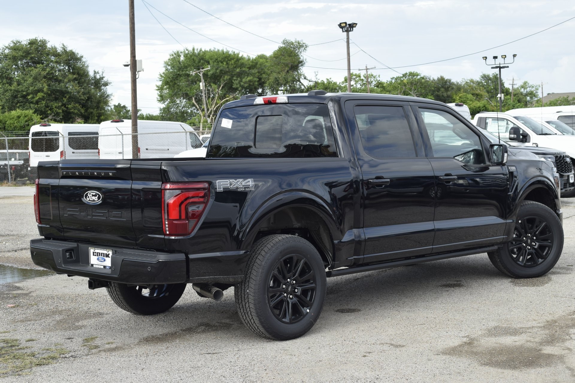 2025 Ford F-150 Platinum photo 3