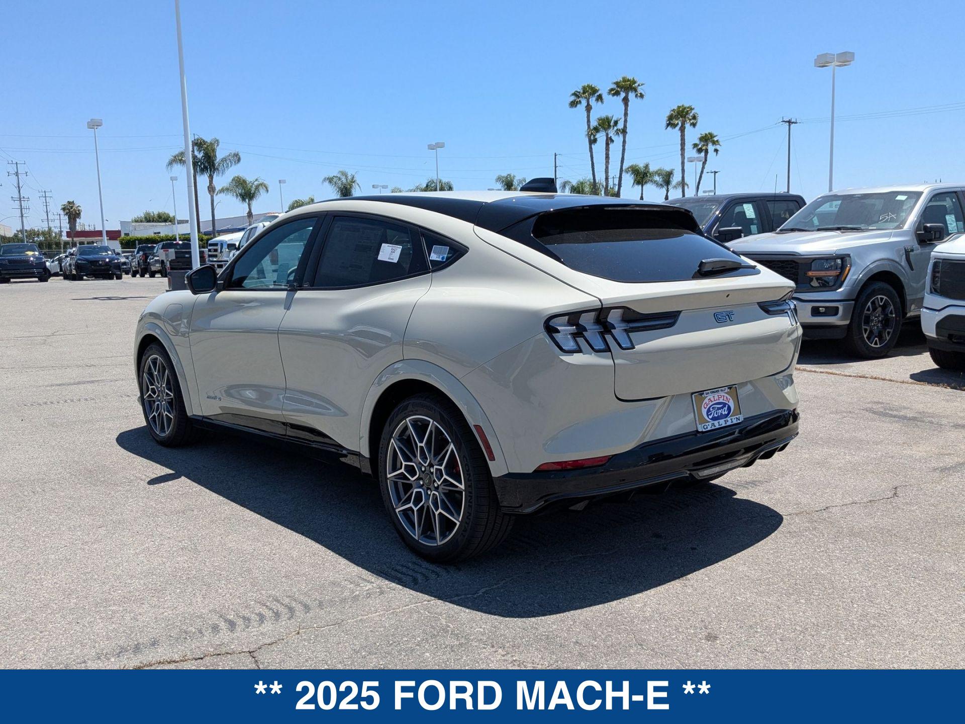 2025 Ford Mustang Mach-E GT photo 6