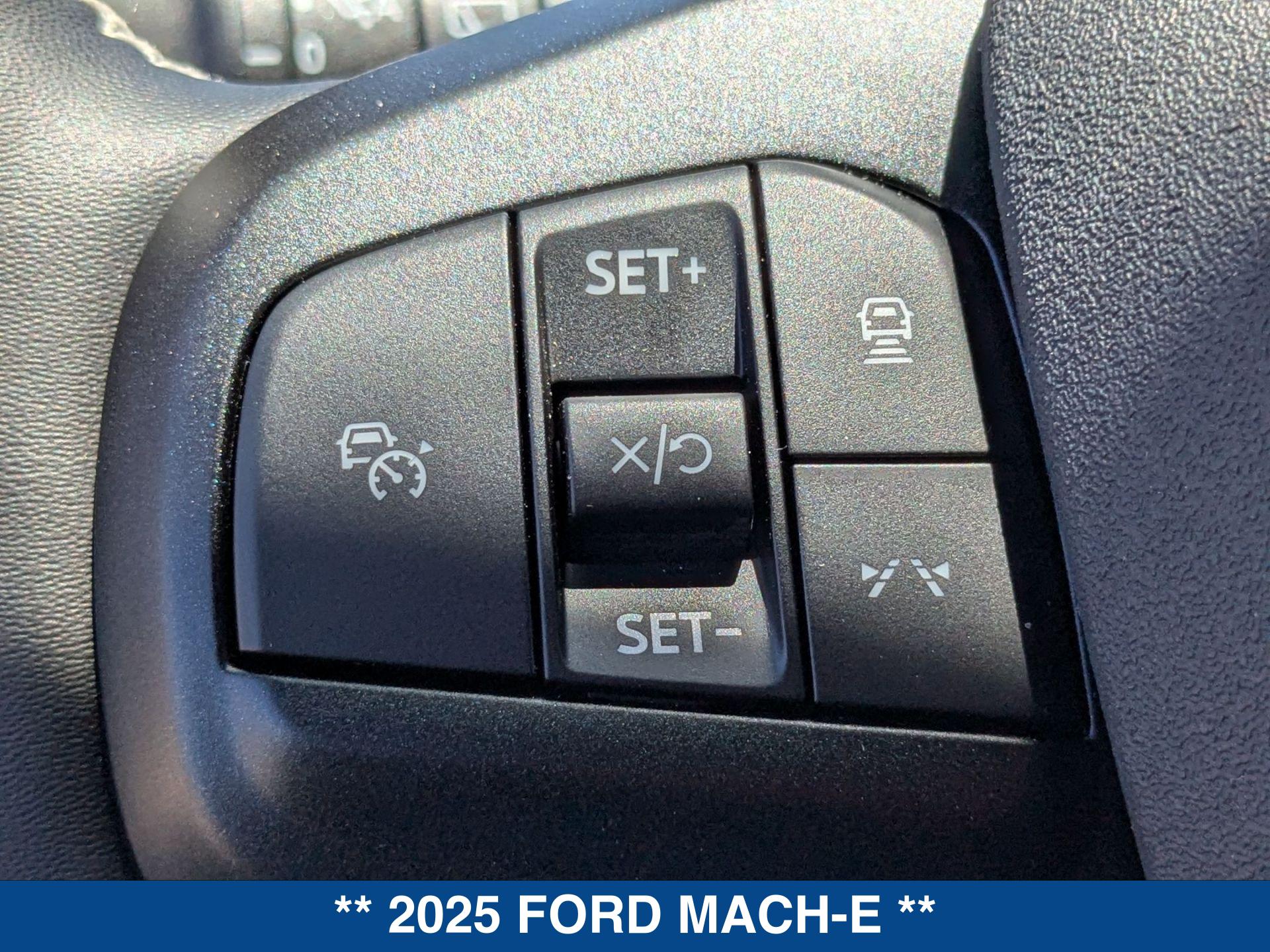 2025 Ford Mustang Mach-E GT photo 18