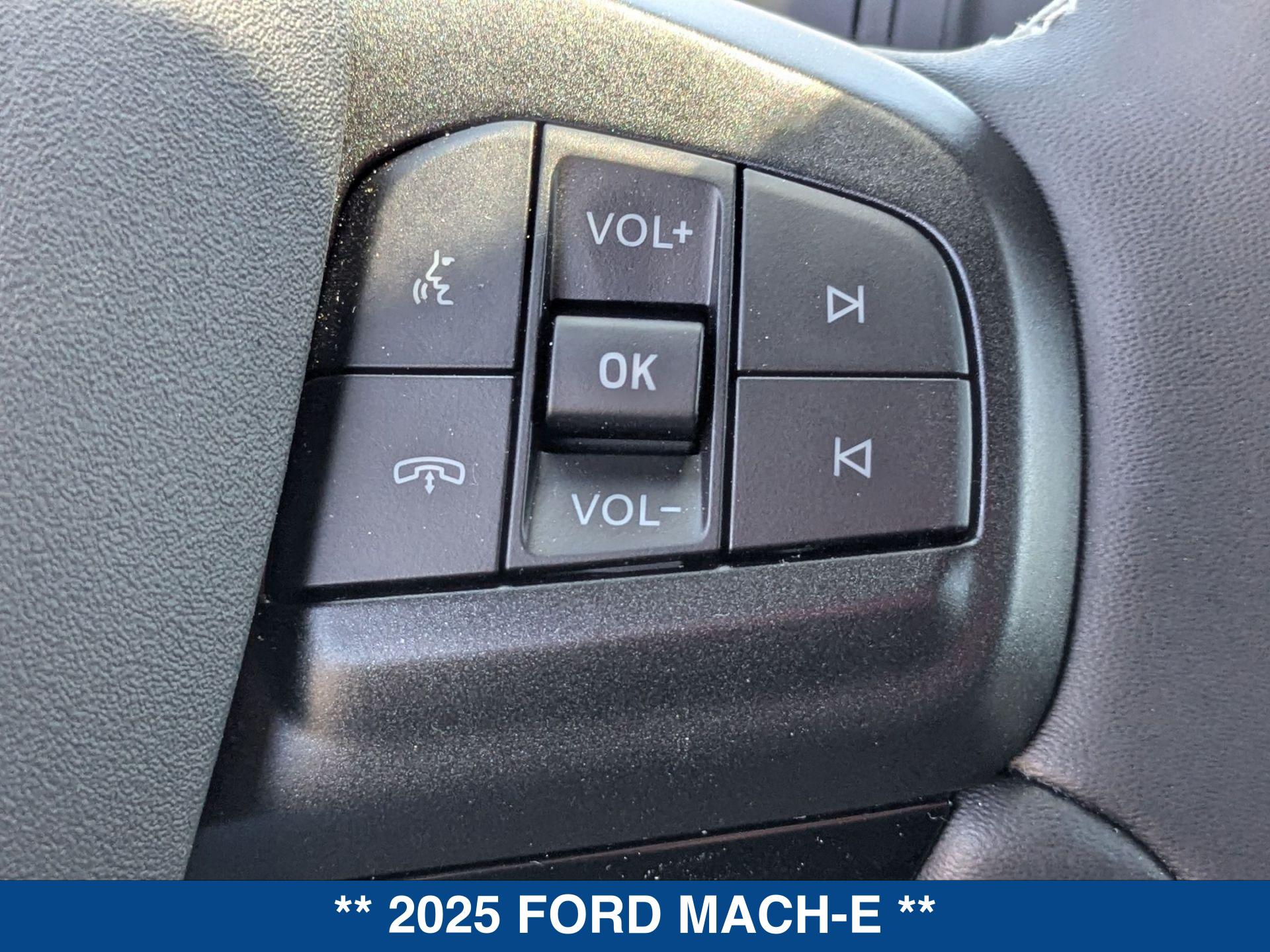 2025 Ford Mustang Mach-E GT photo 19