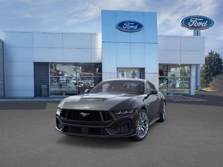 Showcase Image