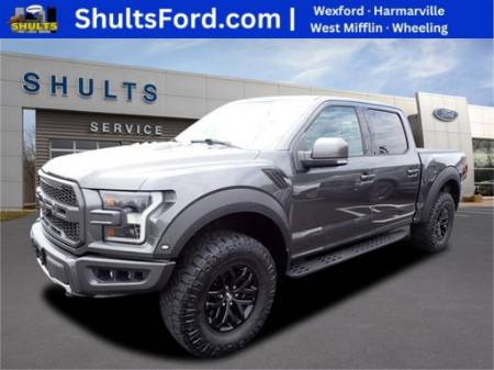 2017 Ford F-150 Raptor