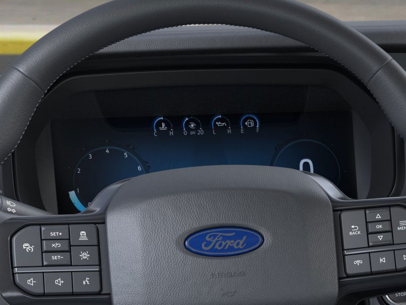 2025 Ford F-150 Platinum photo 10