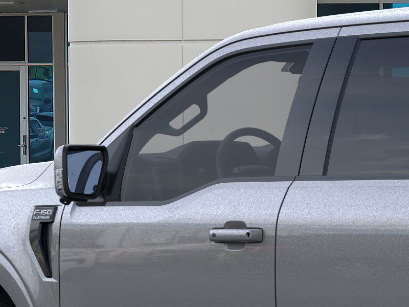 2025 Ford F-150 Platinum photo 17