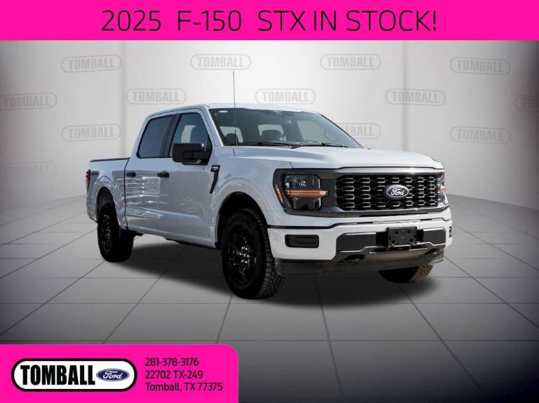 2025 Ford F-150 STX