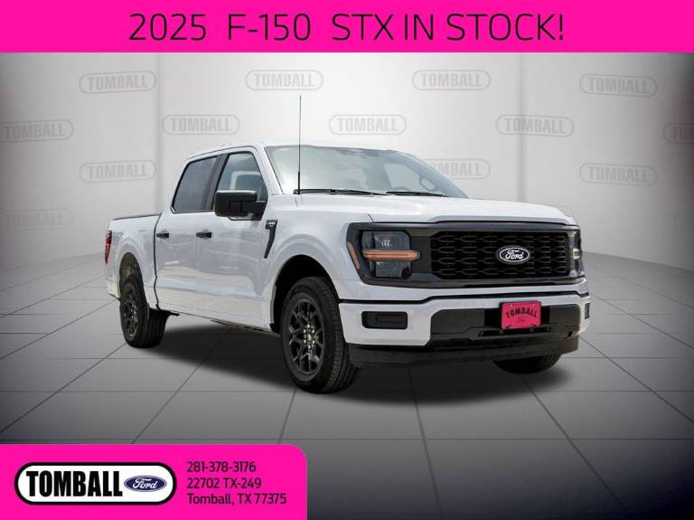 2025 Ford F-150 STX